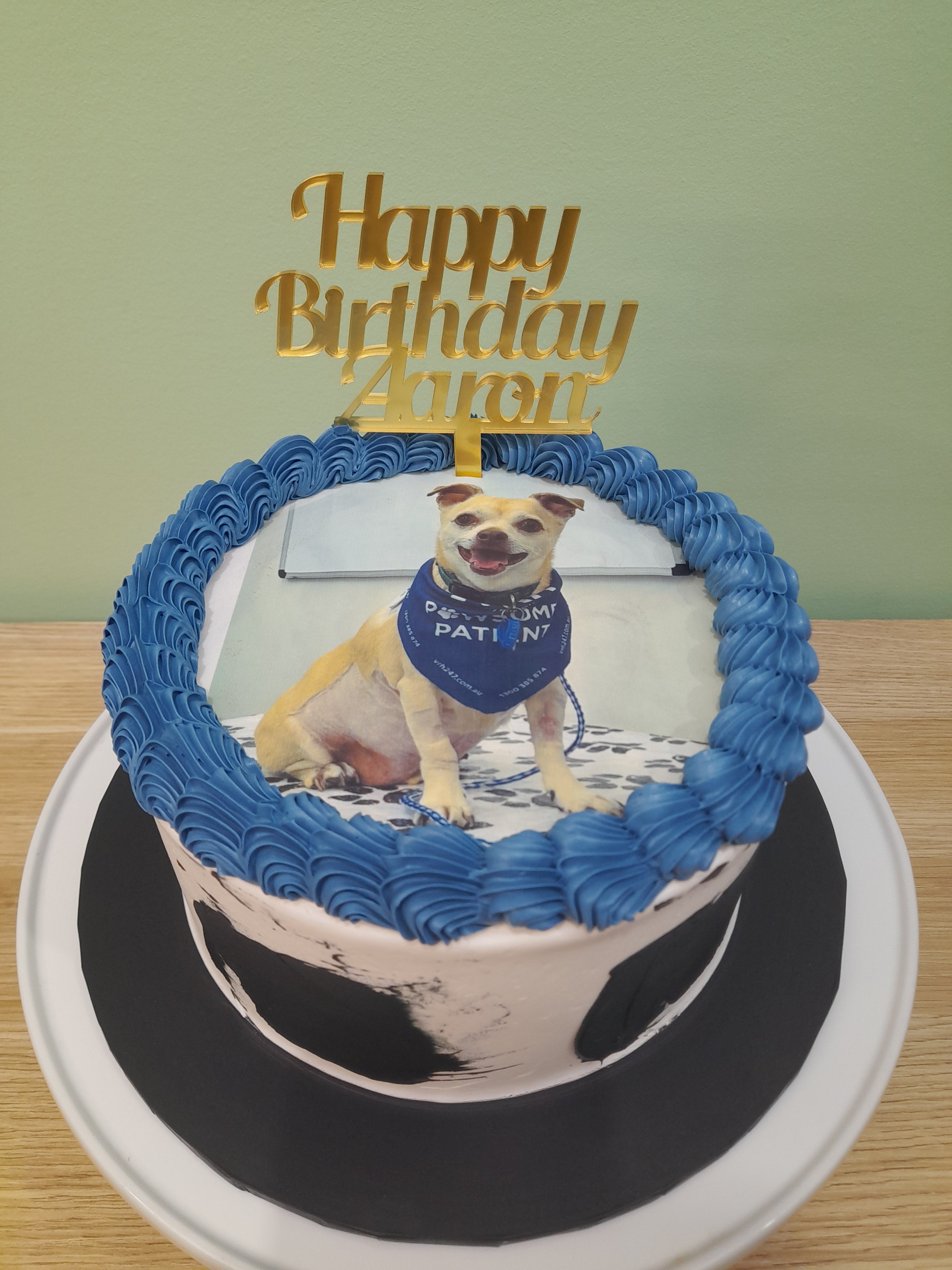 Buy dog hotsell birthday cake melbourne