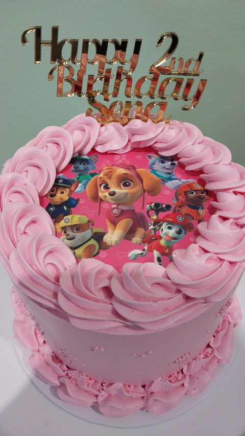 Paw Patrol Cake Pink